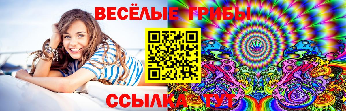 Галлюциногенные грибы Psilocybe Белгород