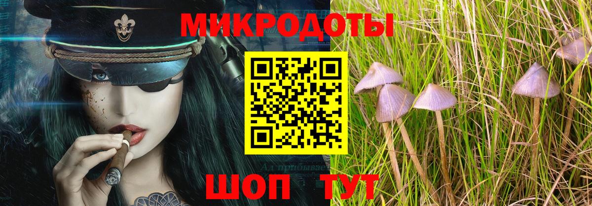Галлюциногенные грибы Magic Shrooms  Вход с VPN  Белгород 