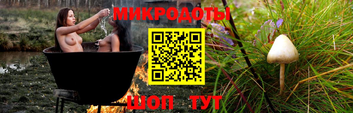 Псилоцибиновые грибы Psilocybe  Белгород  Галлюциногенные грибы мицелий 