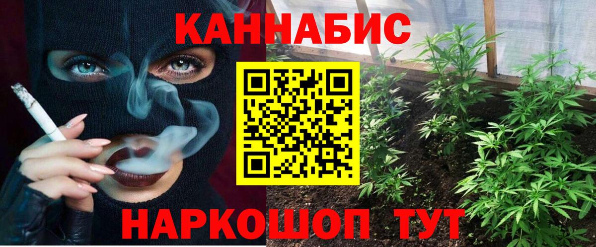 Бошки Шишки гибрид Белгород